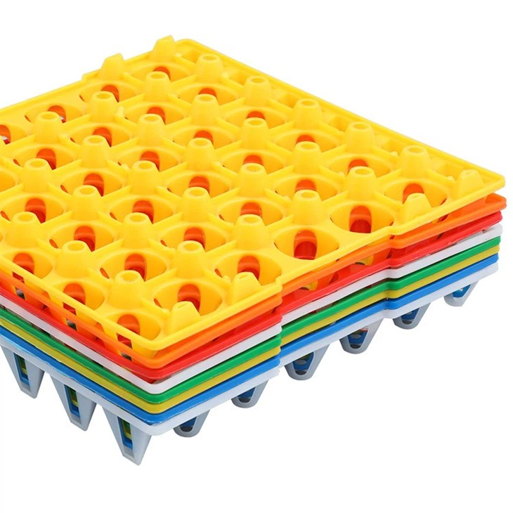 Plastic 30 Cell Egg Tray