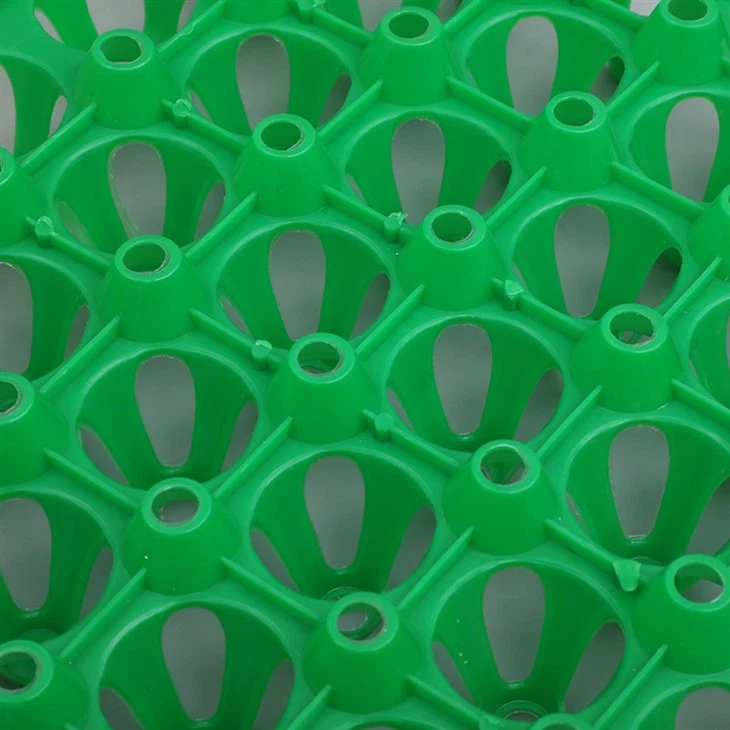 Plastic 30 Cell Egg Tray