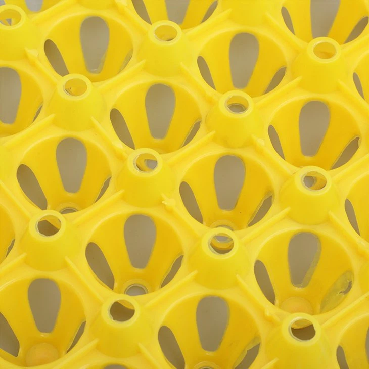 Plastic 30 Cell Egg Tray