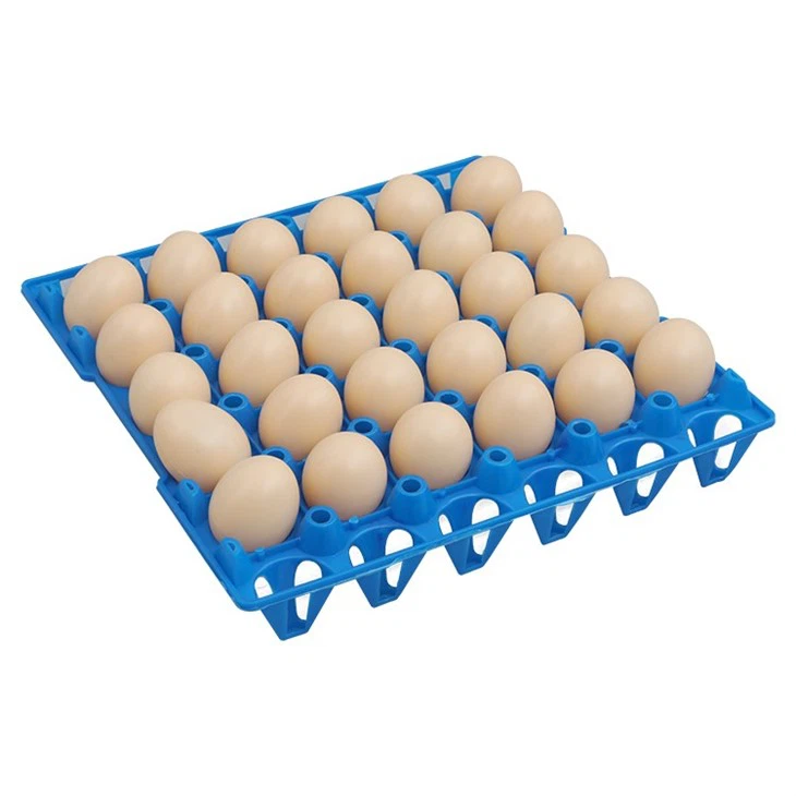 Plastic 30 Cell Egg Tray