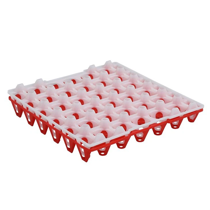 Plastic 30 Cell Egg Tray